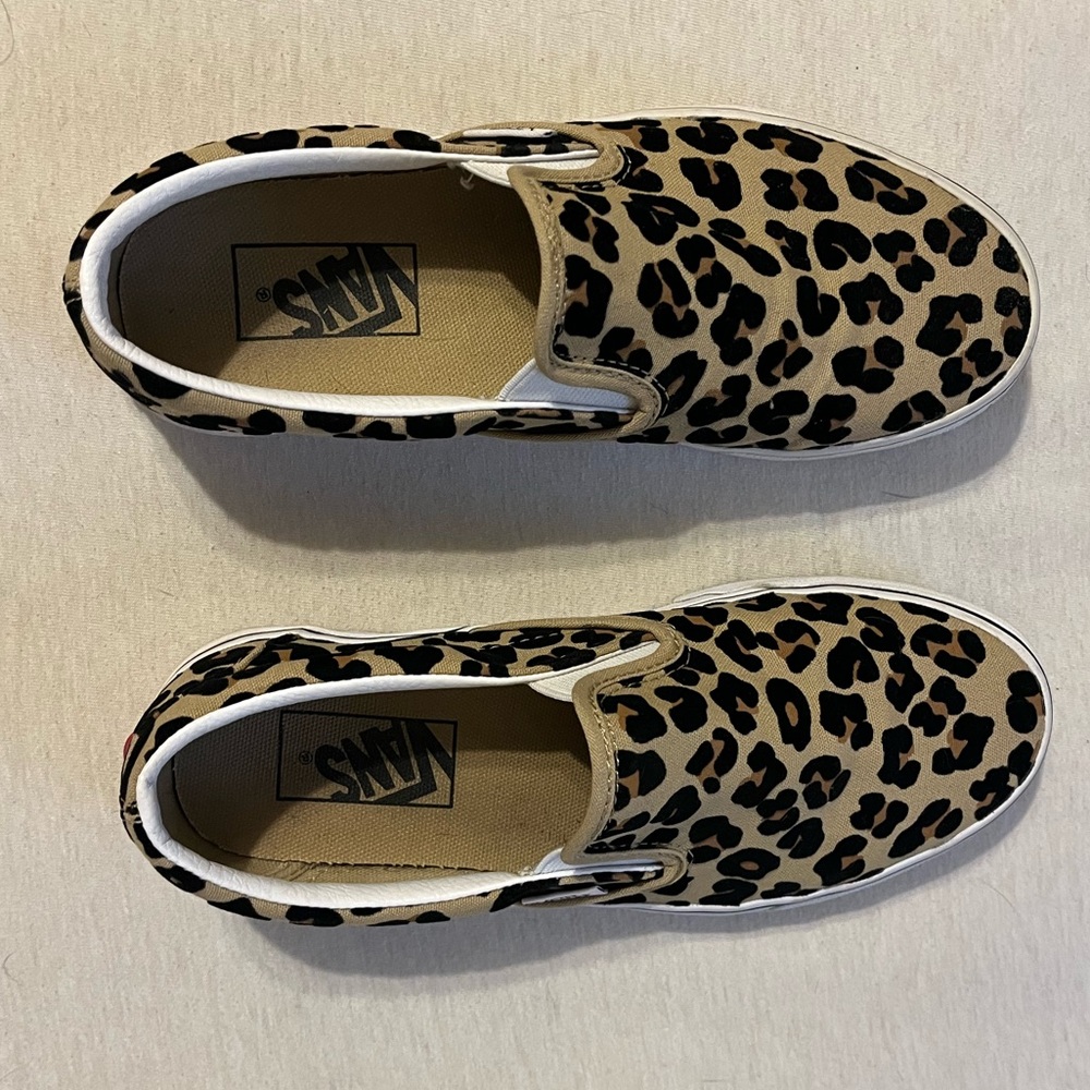 Cheetah vans
